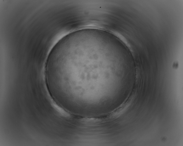 X0000102541474200808081510