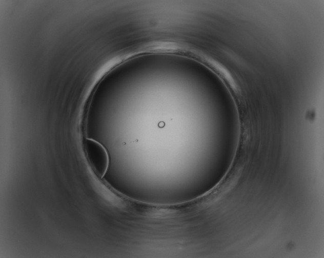 X0000102541475200808081510