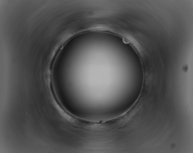 X0000102541476200808081510