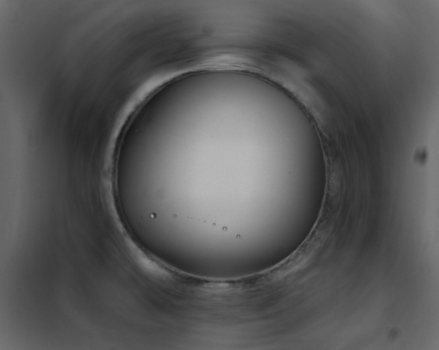 X0000102541478200808081510