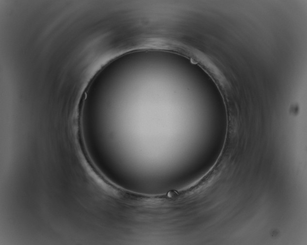 X0000102541479200808081510