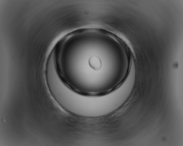 X0000102541480200808081510