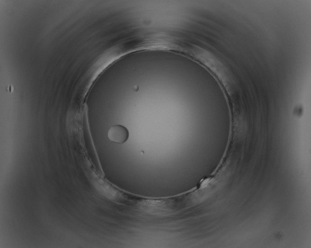 X0000102541481200808081510