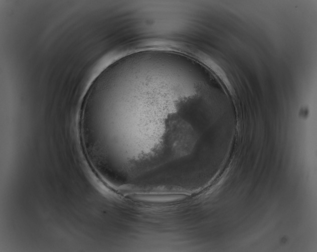 X0000102541482200808081510