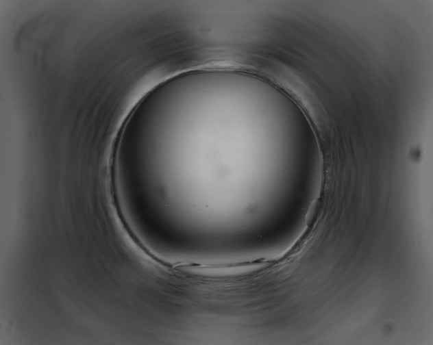 X0000102541483200808081510
