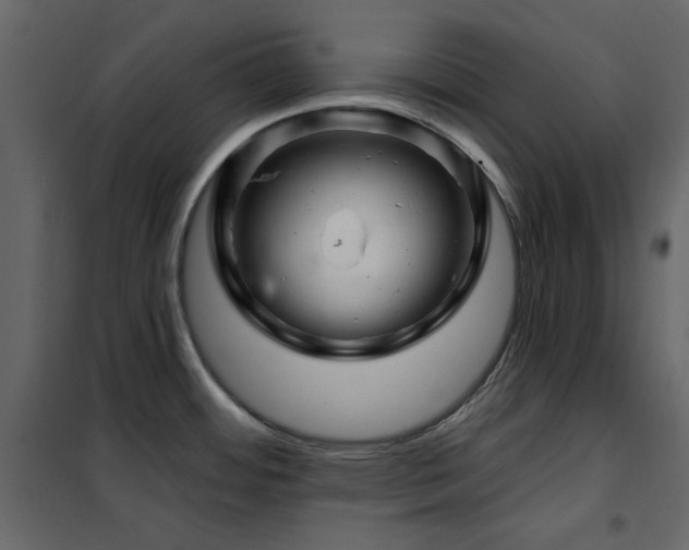 X0000102541484200808081510