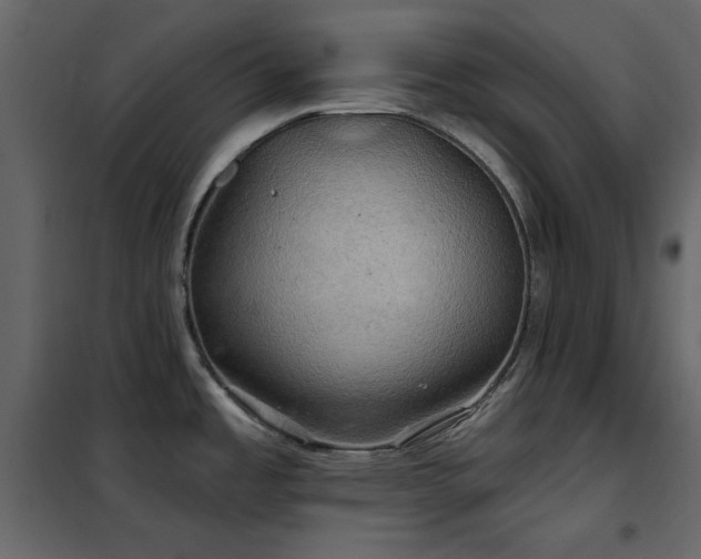 X0000102541485200808081510
