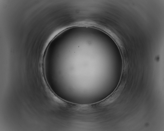 X0000102541486200808081510