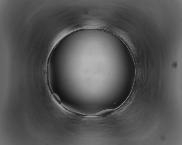 X0000102541487200808081510
