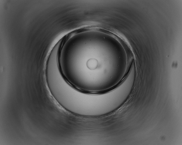 X0000102541488200808081509