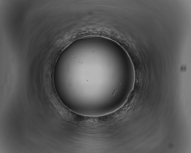 X0000102541489200808081509
