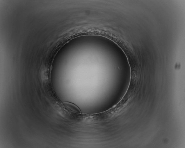 X0000102541490200808081509