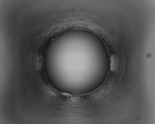 X0000102541491200808081509