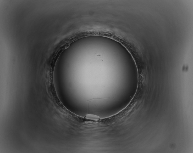 X0000102541493200808081509