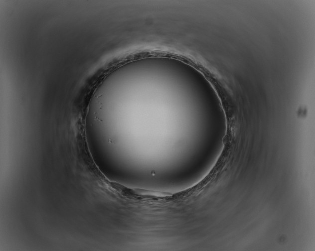 X0000102541495200808081509
