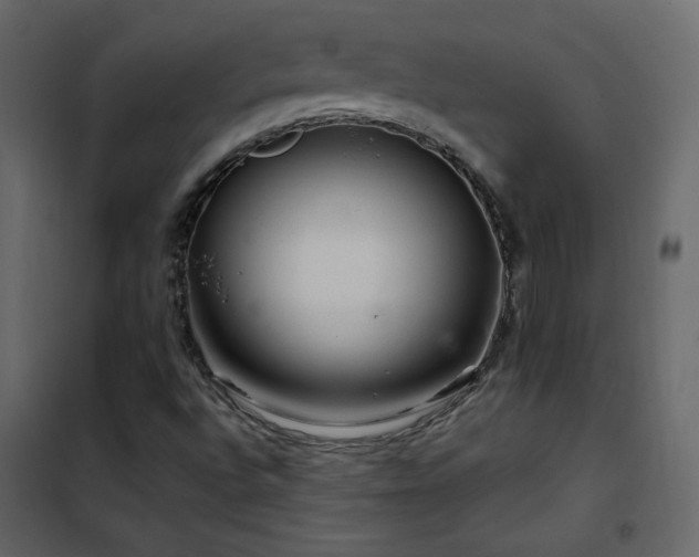 X0000102541496200808081509