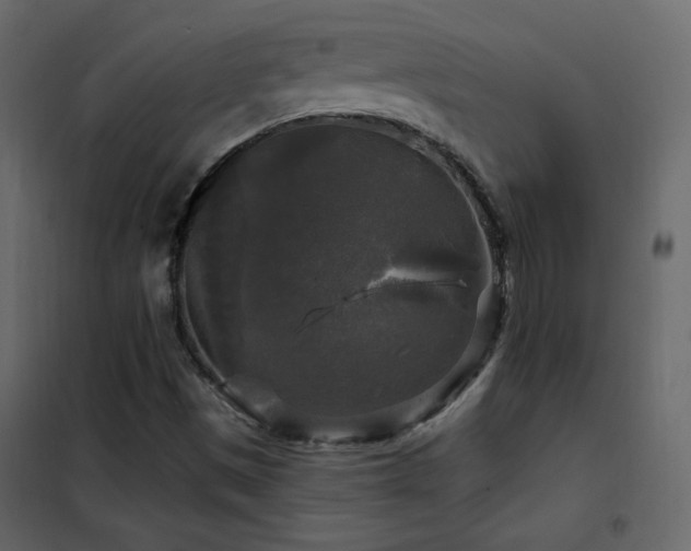 X0000102541497200808081509