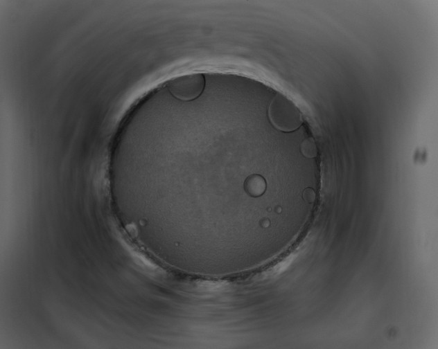 X0000102541498200808081509