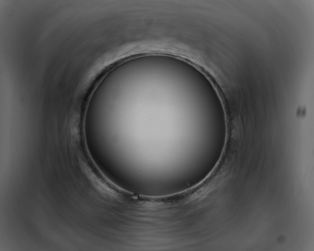 X0000102541499200808081509
