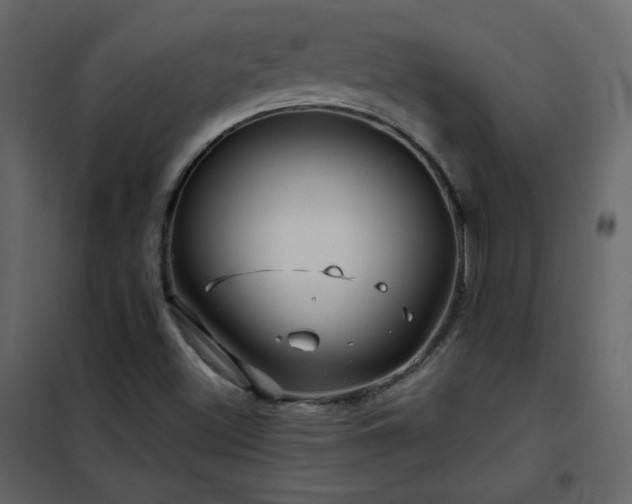X0000102541500200808081509