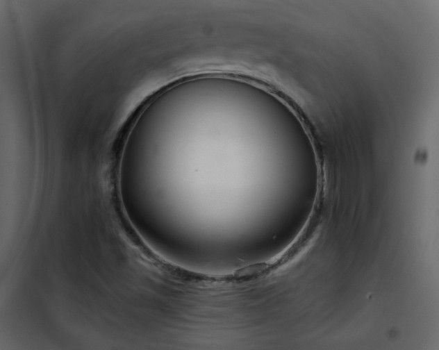 X0000102541501200808081509
