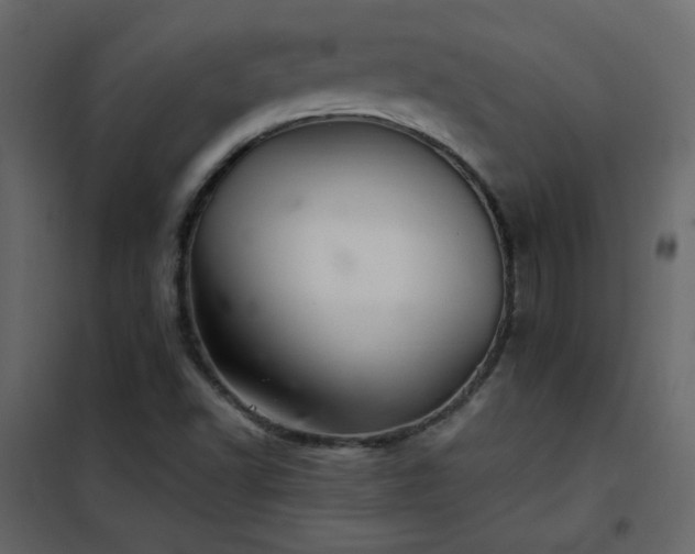X0000102541502200808081509