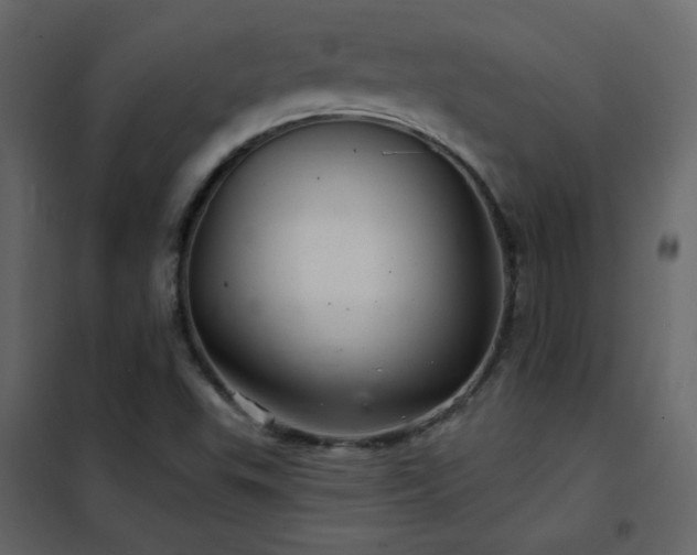 X0000102541503200808081509