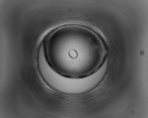 X0000102541504200808081509