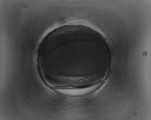X0000102541506200808081509