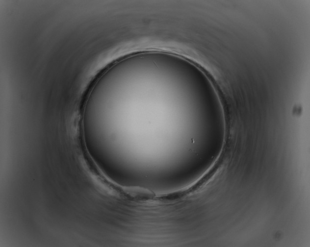 X0000102541507200808081509