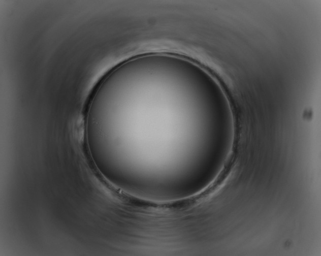 X0000102541509200808081509