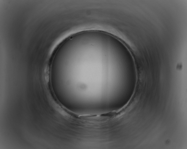 X0000102541510200808081509