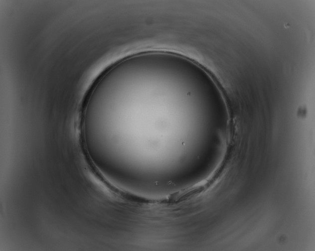 X0000102541511200808081509