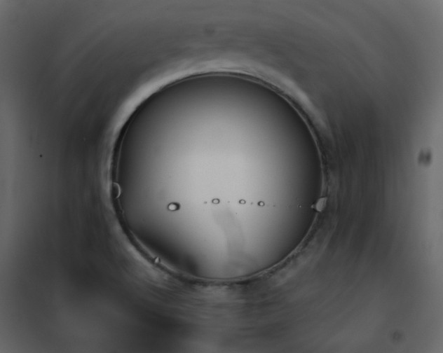 X0000102541512200808081509