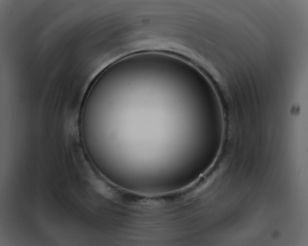 X0000102541513200808081509