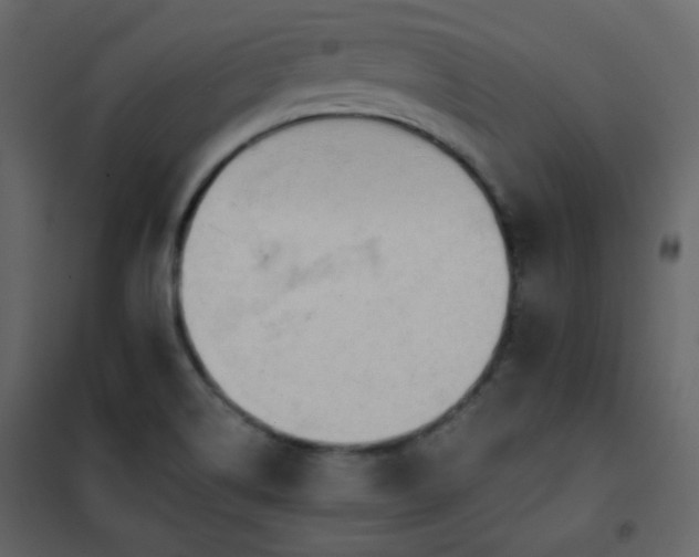 X0000102541514200808081509