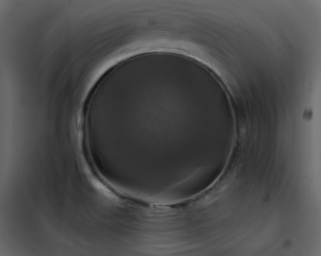 X0000102541515200808081509