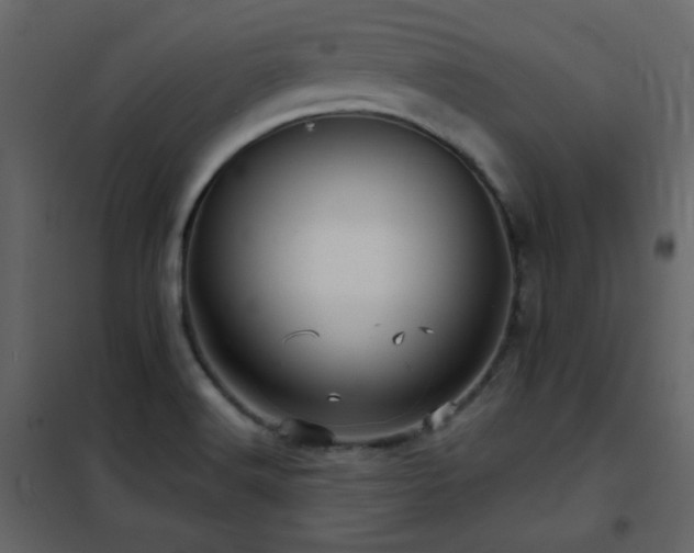 X0000102541516200808081509