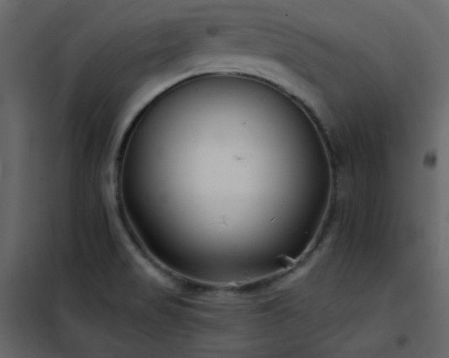 X0000102541517200808081509