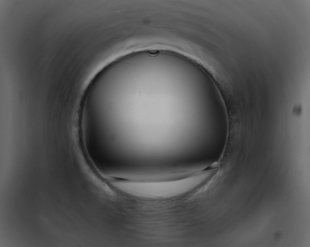 X0000102541518200808081509
