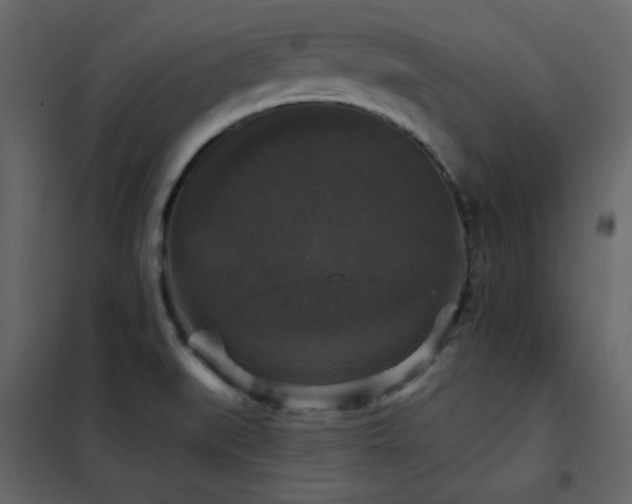 X0000102541519200808081509