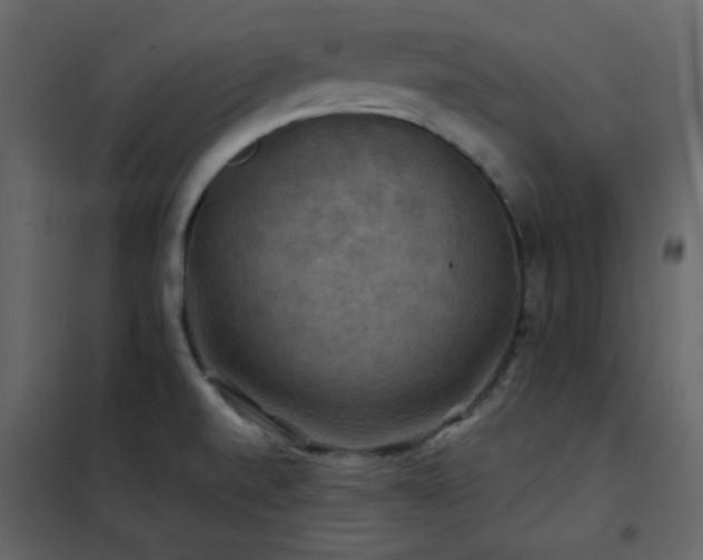 X0000102541520200808081509