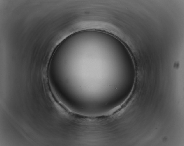 X0000102541521200808081509
