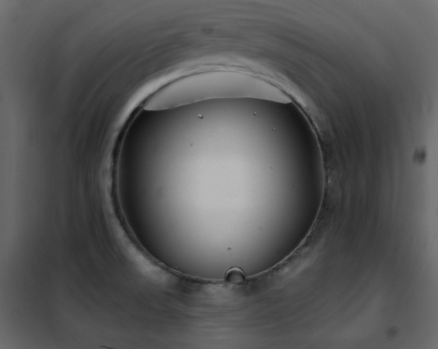 X0000102541523200808081509