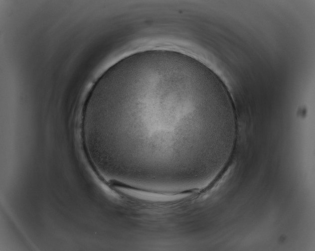 X0000102541525200808081509