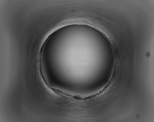 X0000102541526200808081509