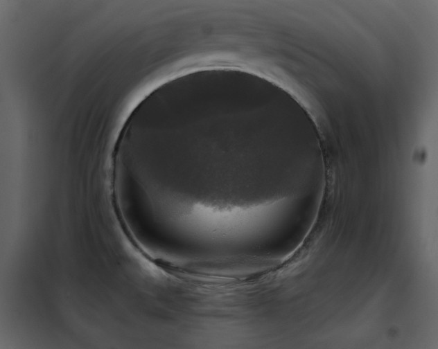 X0000102541527200808081509