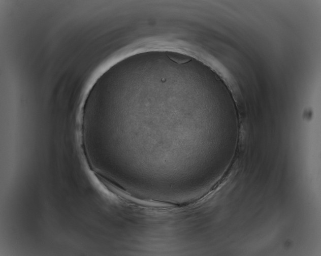 X0000102541528200808081509
