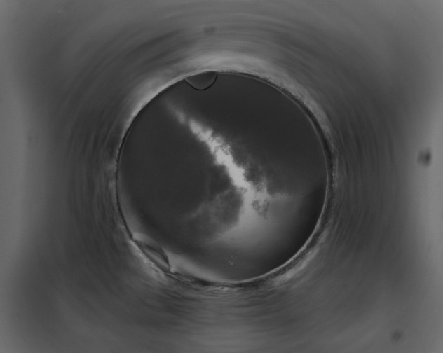 X0000102541529200808081509