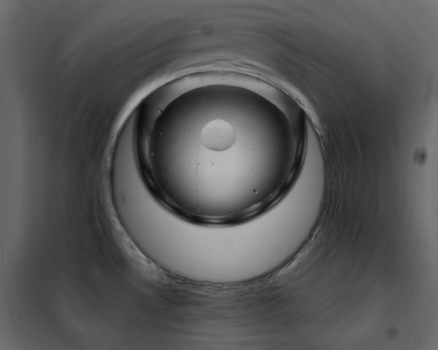 X0000102541530200808081509